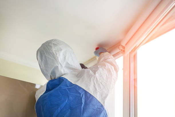 Why You Should Choose Our Mold Remediation Services in Nanuet, NY